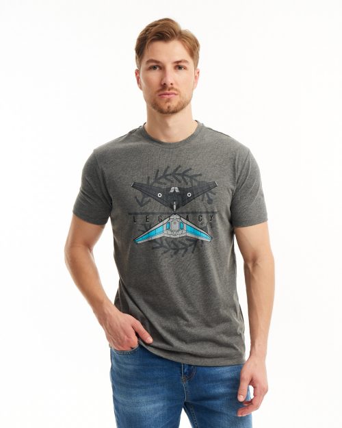 Футболка чоловіча сіра Regular fit Dron Legacy | Men's t-shirt gray Regular fit Dron Legacy