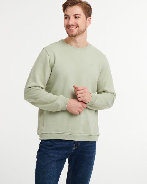 Світшот чоловічий Regular Fit зелений ментол WEM Colors of Spell | Men's green mint sweatshirt Regular Fit WEM Colors of Spell