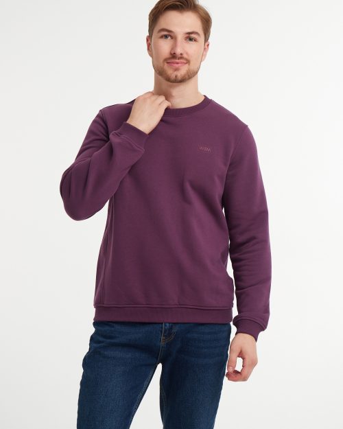 Світшот чоловічий Regular Fit фіолетовий пурпур WEM Colors of Spell | Men's violet sweatshirt Regular Fit WEM Colors of Spell